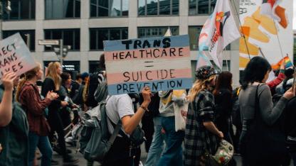 Demonstration, Schilder 